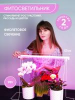 Светодиодный светильник для растений, спектр фотосинтез (красно-синий) 9W, пластик, AL7001 41351