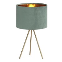 Настольная лампа ST Luce Fuego SL6242.704.01