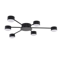 Потолочная люстра Lumion Comfi Torina 8344/6C
