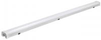 Светильник светодиодный PWP-С3 1200 SHOPLIGHT 40Вт 4000К IP65 4640лм ДСП JazzWay 5039346