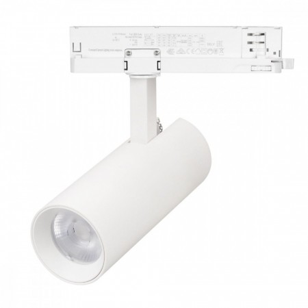 Трековый однофазный светильник Arlight LGD-GERA-2TR-R55-10W Warm3000 (WH, 36 deg, 230V) 055060