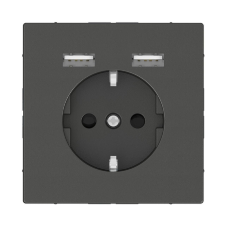 Розетка компьютерная USBx2 Schneider Electric Merten D-Life MTN2366-6034
