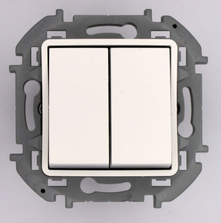 Переключатель двухклавишный Legrand Inspiria 673655