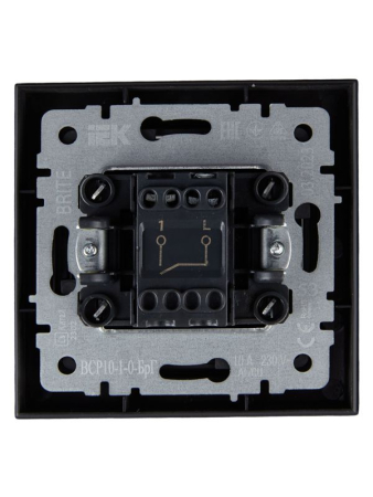 Выключатель 1-кл. СП BRITE ВСР10-1-0-БрГ 10А в сборе графит IEK BR-V10-0-10-K53-F