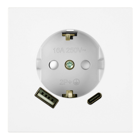 Розетка 1-местная з/ш с/з 16А + USB + Type C (механизм), STEKKER, 250В, 20W, серия Мия, RST16-3119-01, белая магнолия 50438
