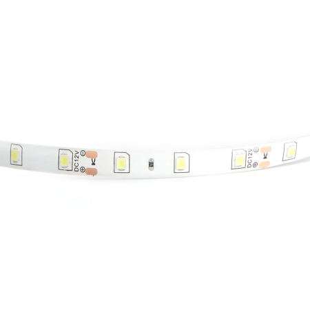 Cветодиодная LED лента Feron LS604, 60SMD(2835)/м 4.8Вт/м  1м IP65 12V 6500К 27752