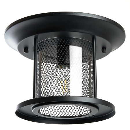 Светильник садово-парковый Feron PL723 на потолок  60W E27 230V, черный 48387
