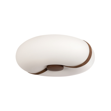 Потолочный светильник LOFT IT Bolina 10473