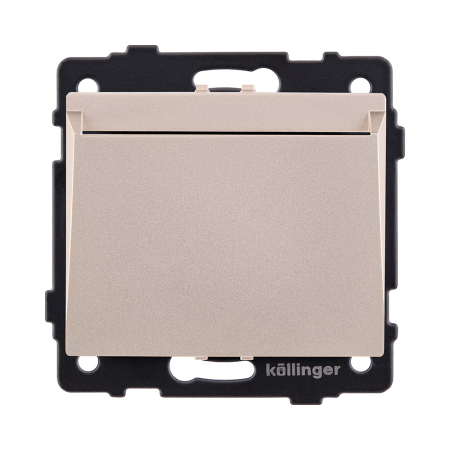 Карточный выключатель механический, золотой Kollinger REA-041GD для Aspekt, Eleganz, Reflex