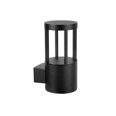 Уличный настенный светильник Arte Lamp Carcassa A4666AL-1BK