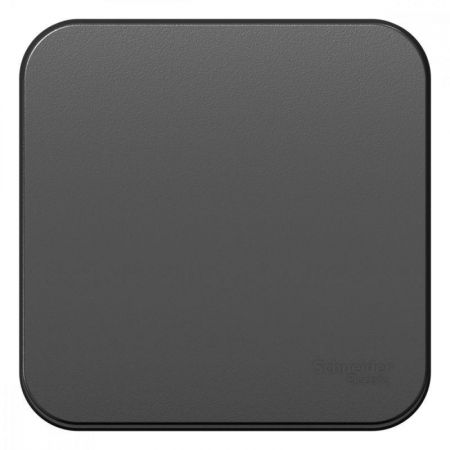 Выключатель 1-кл. ОП Blanca 10А IP20 (сх. 1) 250В с изолир. пластиной антрацит SE BLNVA101016