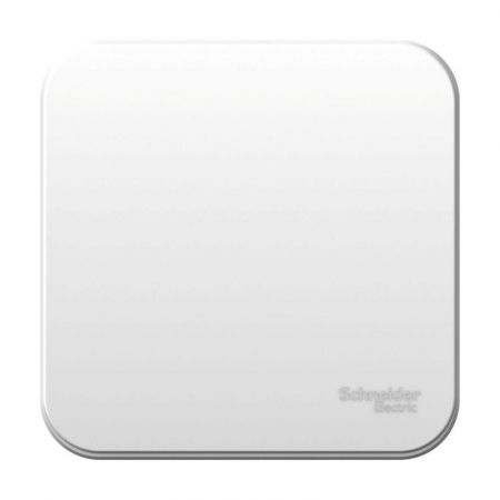Выключатель 1-кл. ОП Blanca 6А IP20 (сх. 1) 250В с изолир. пластиной бел. SE BLNVA061011