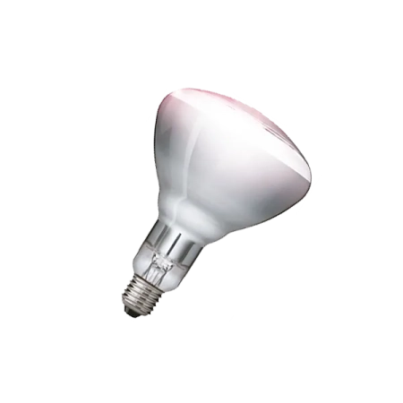 PHILIPS  R125  IR250CH  E27 230-250V d125x173 прозрачная - инфракрасная лампа